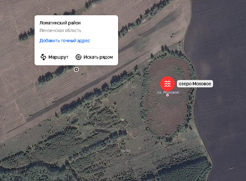 оз. Большое Моховое (Лопатинский р-н, Пенз. обл) - спутниковый снимок