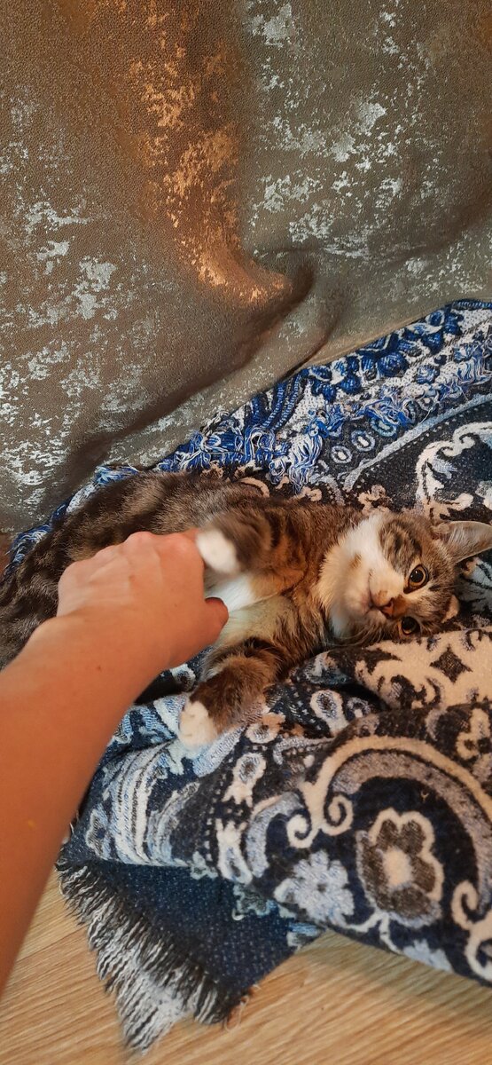 Крутили компоты с Пушком.