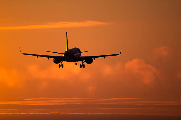 Фото с iStock