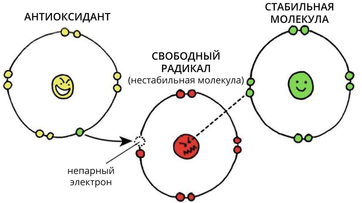 Существует достаточно много информации о том, что какао как напиток рекомендуется пить многим, особенно людям в возрасте.-2