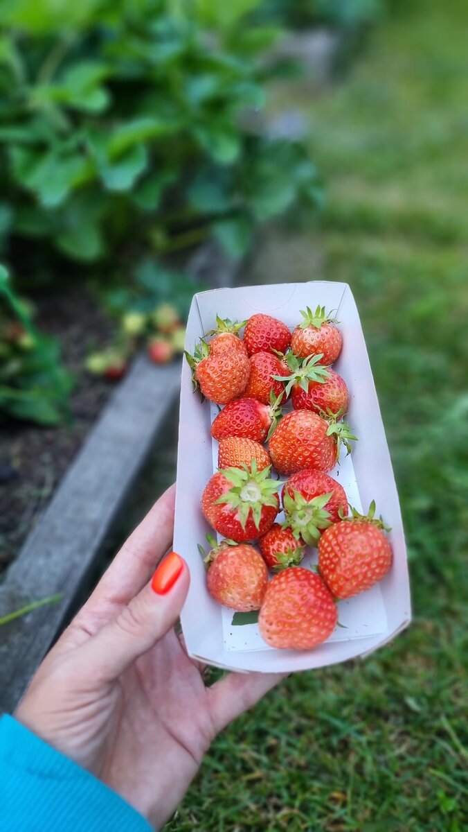 Фото: УСАДЬБУШКА