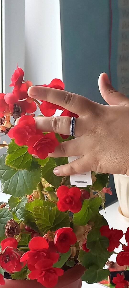 Серебро с фианитами.
