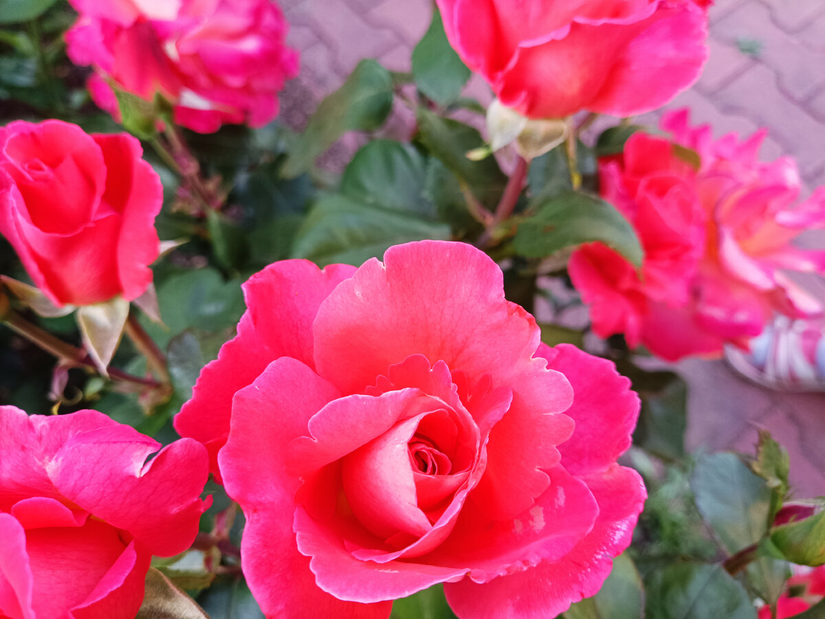 Христофор Колумб, 2023