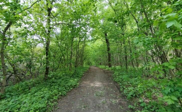    фото из архива КИ