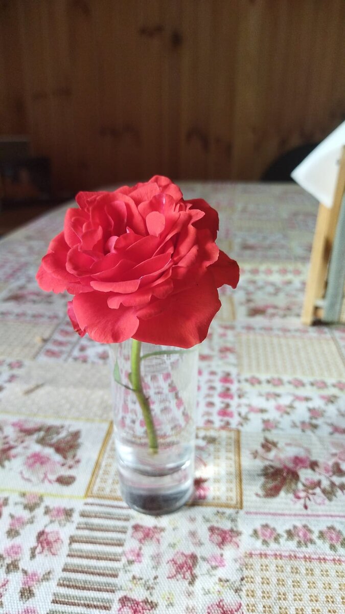 Жёстким отношением к жене навредил себе | Лилия Лобанова | Дзен