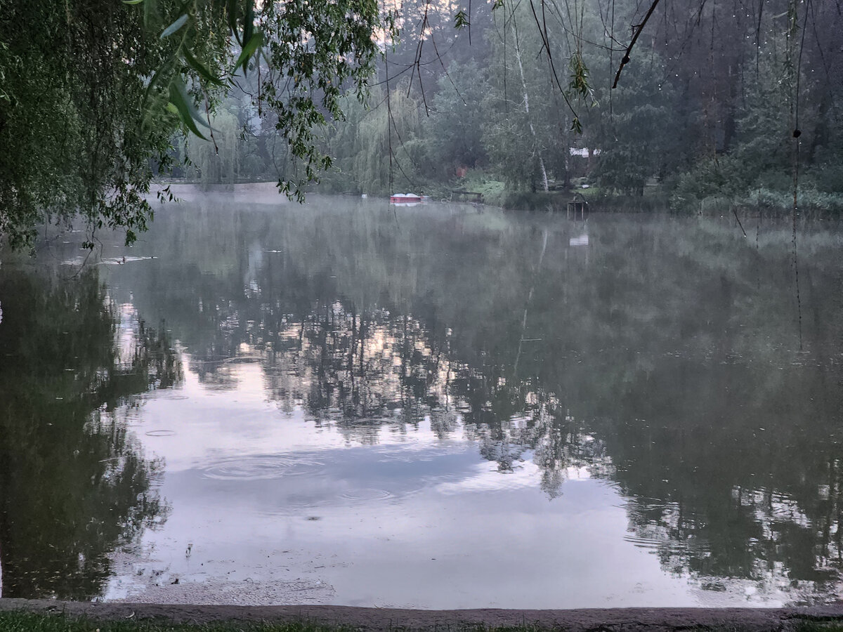 Алена Ланская отдохнула на природе в кружевном мини (фото)