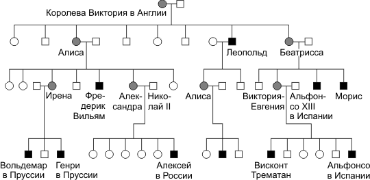 Генеалогическое дерево