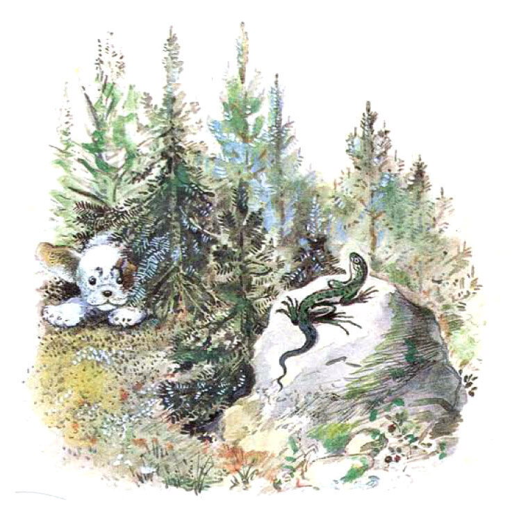 «Первая охота», Виталий Бианки. Источник: fairyroom.ru