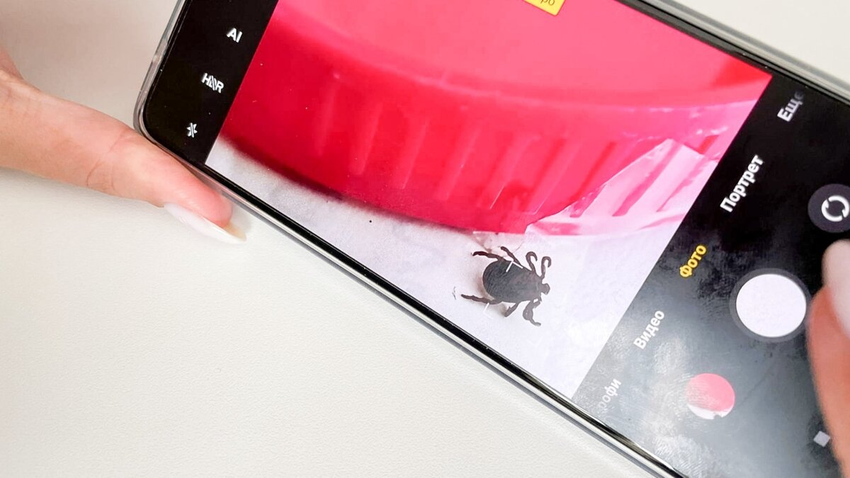     Как одеваться на природу, чтобы не стать жертвой клеща, можно ли снимать с себя клеща самостоятельно и зачем 2 недели следить за здоровьем, рассказала замруководителя Управления Роспотребнадзора по Ставропольскому краю Ирина Ковальчук.