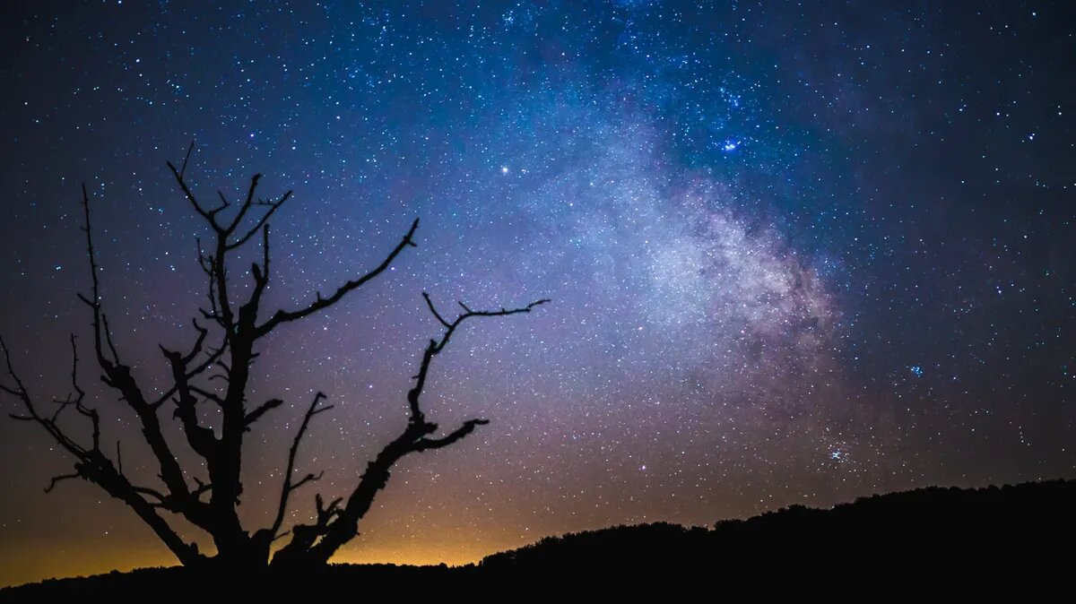 Зеркальная дата в четверг. Фото: www.piqsels.com