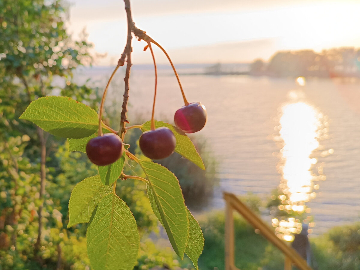 Фото автора