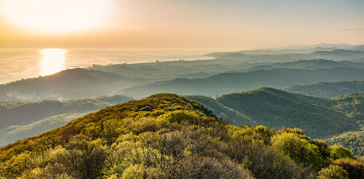 Фото: Google.Картинки