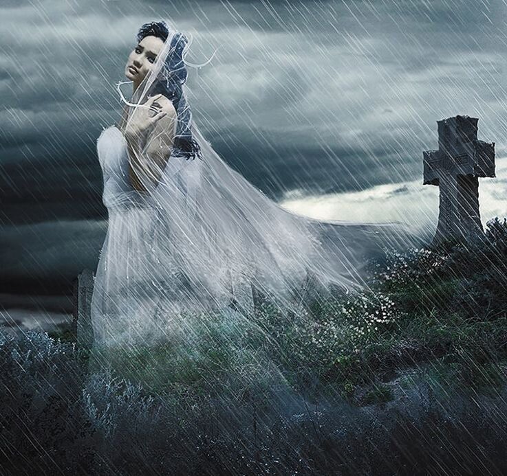 фото из открытых источников интернета