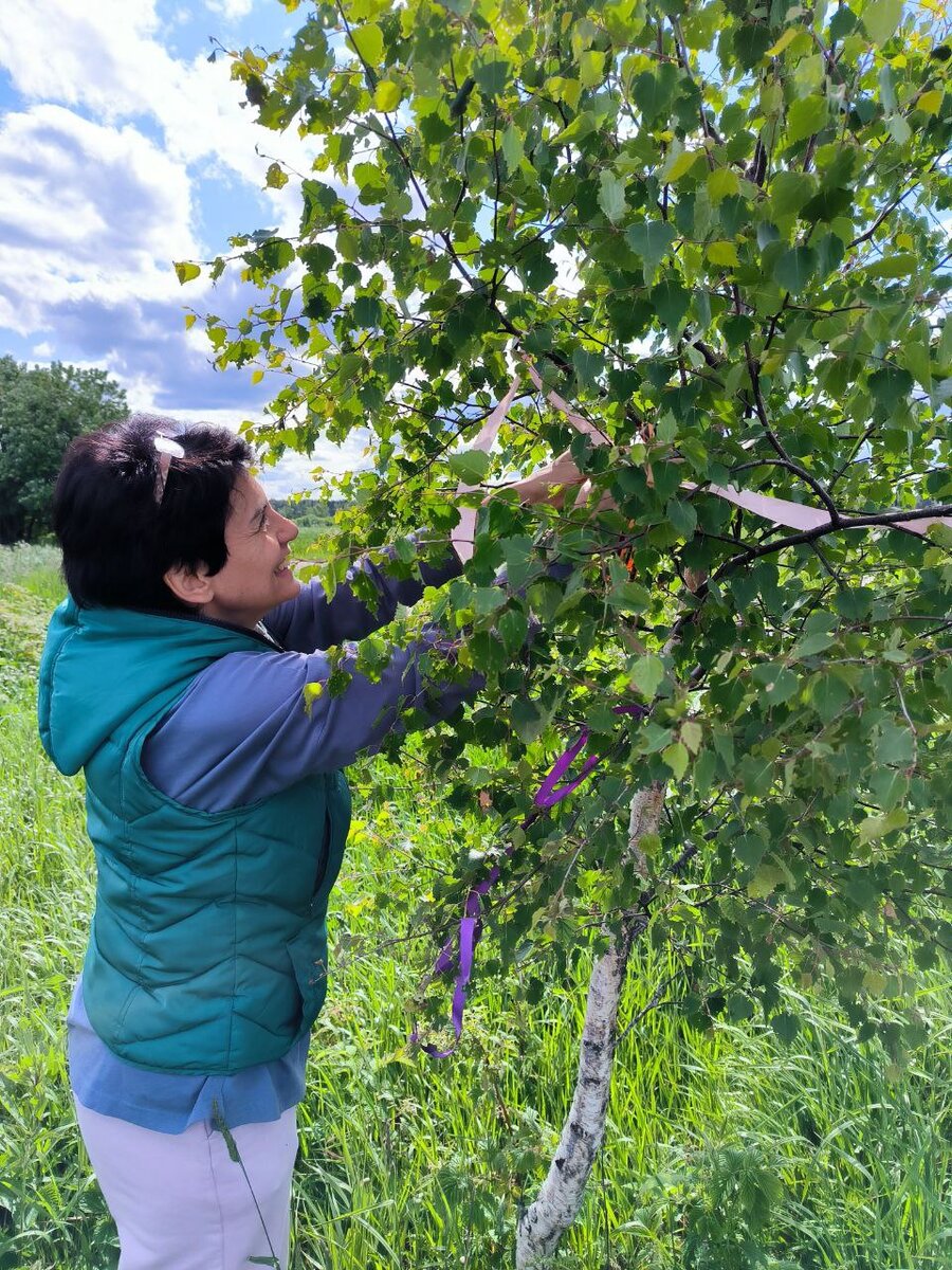 Ленточка на березу, желание - горе. Фото автора.