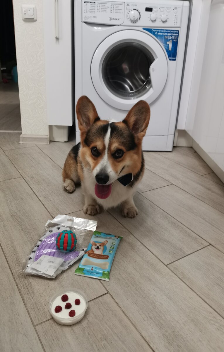 В качестве тортика - творог с малиной)