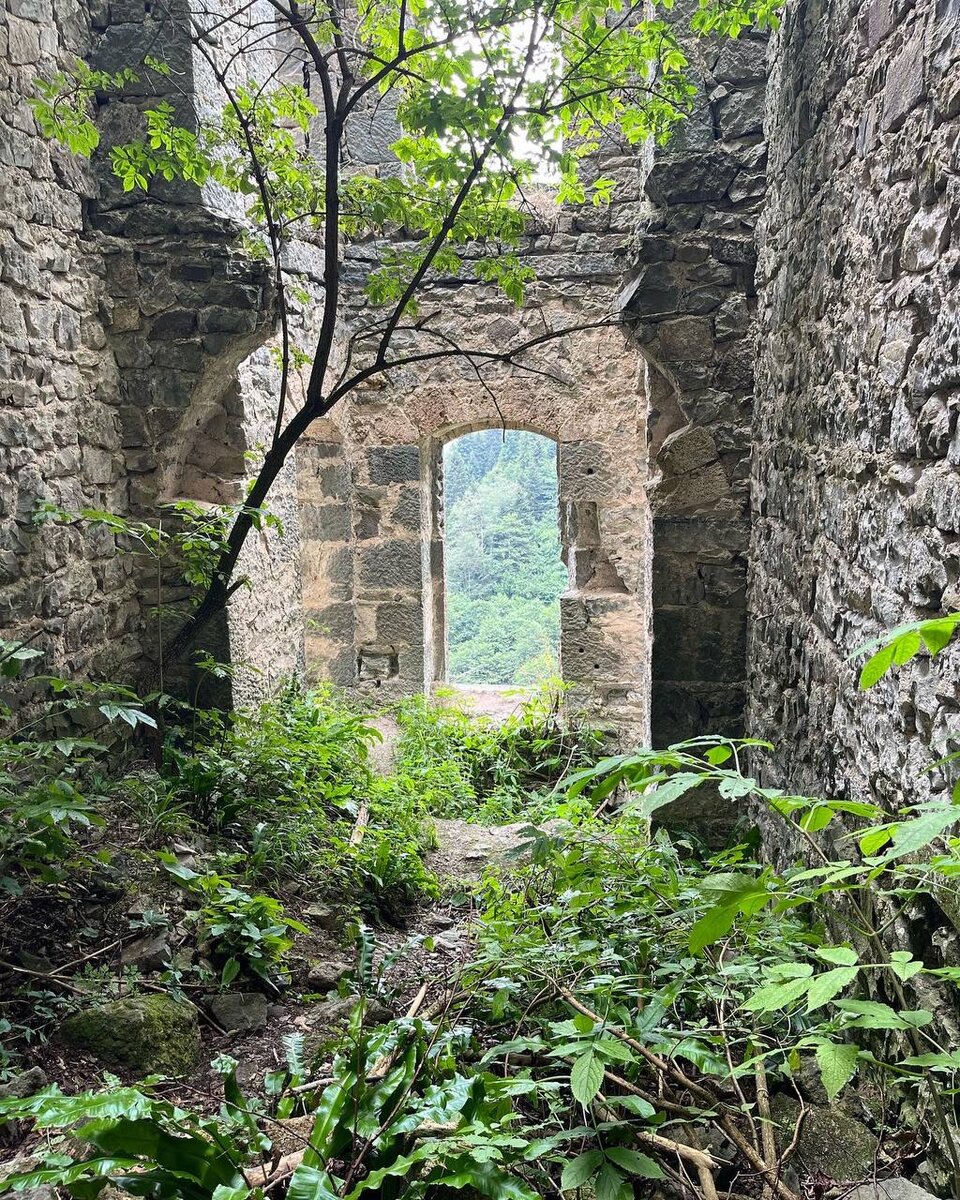 Природа захватывает монастырь! Внутри выросли кусты и деревья