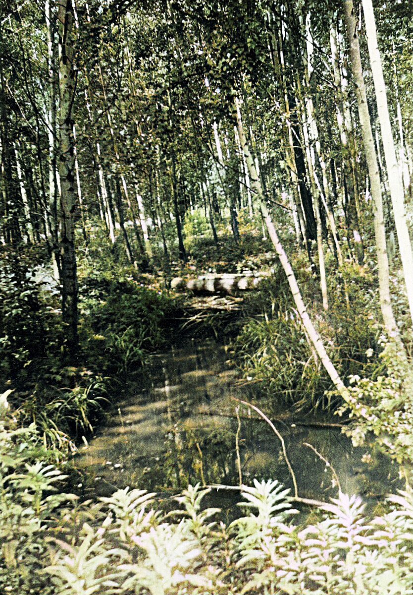 Здесь мыли самоцветы. Мойка. 1968г.