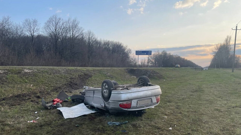    Автор фото: пресс-служба ГУ МВД по Воронежской области