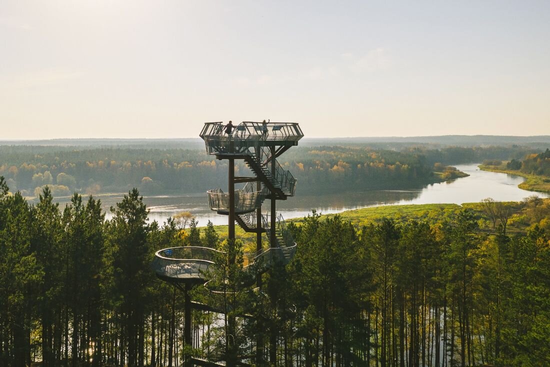 Дзукийский национальный парк. Источник: https://www.lithuania.travel/ru/place/dzukiiskii-natsionalnyi-park