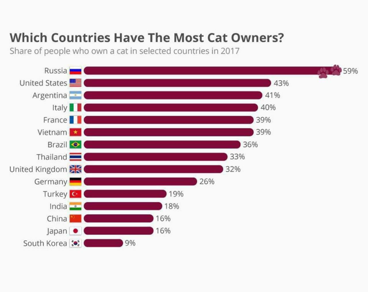New the most recent. Количество котов в мире по странам. Самые популярные домашние животные статистика. Страны по количеству котов. Страны по количеству кошек.