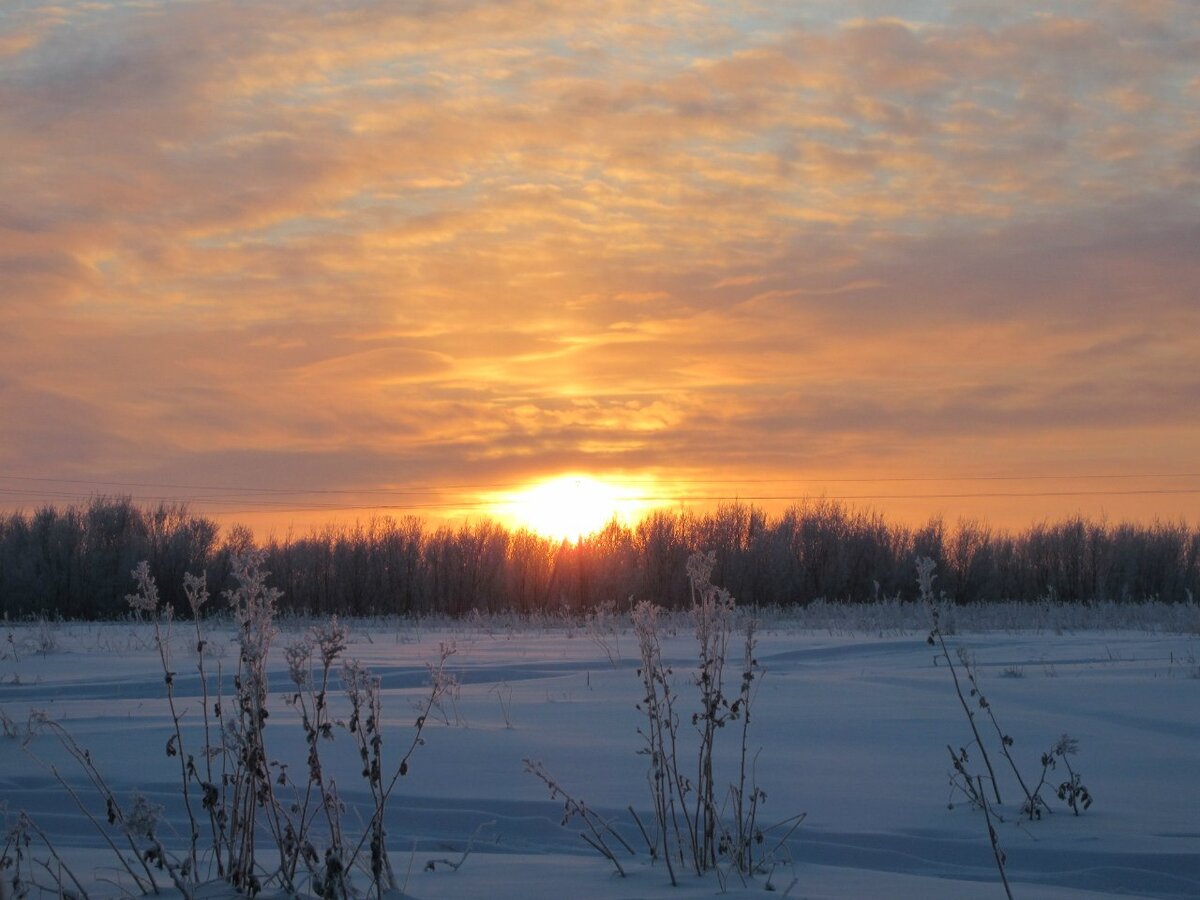 фото Герта Евменеева