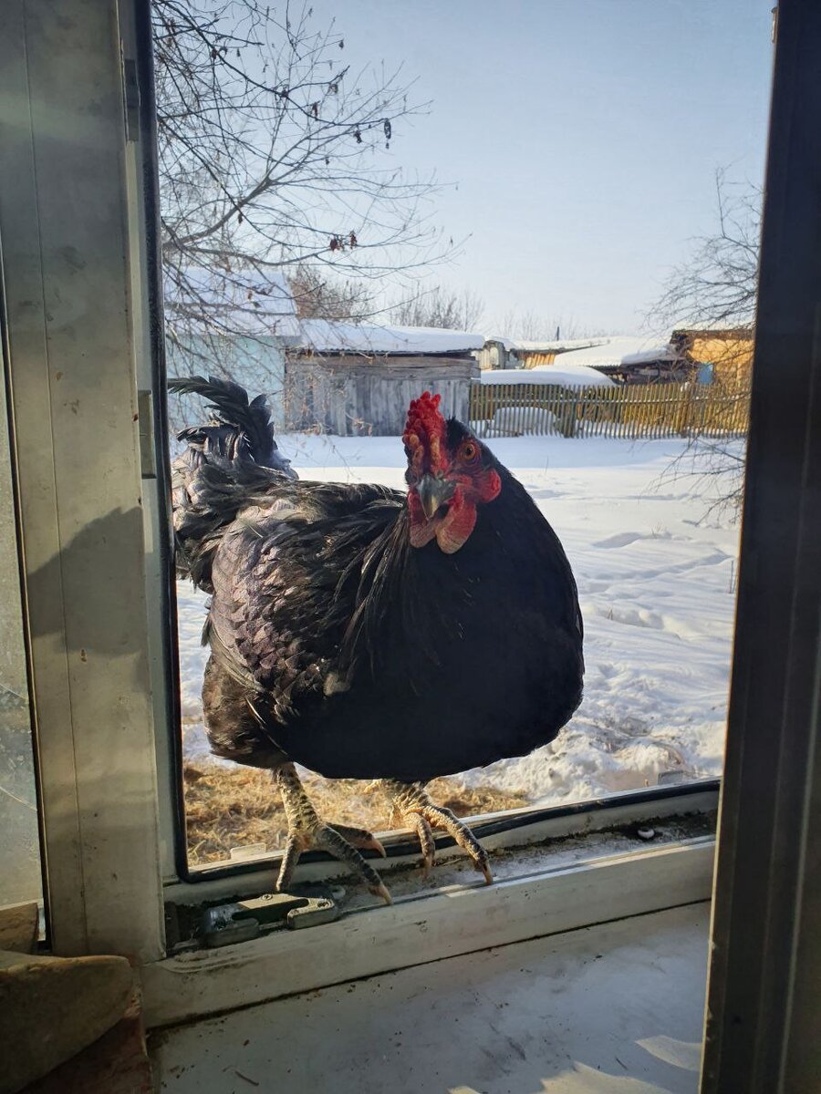 Космос. Просто Космос.