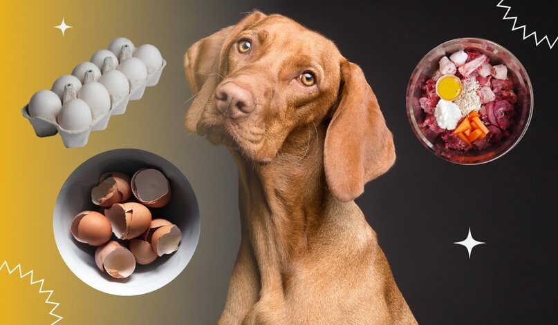 Создать карусельДобавьте описание