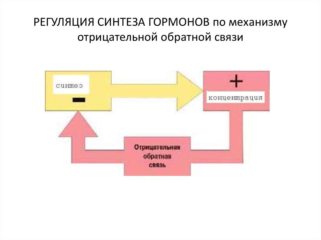 Развитие технологий в полиграфии