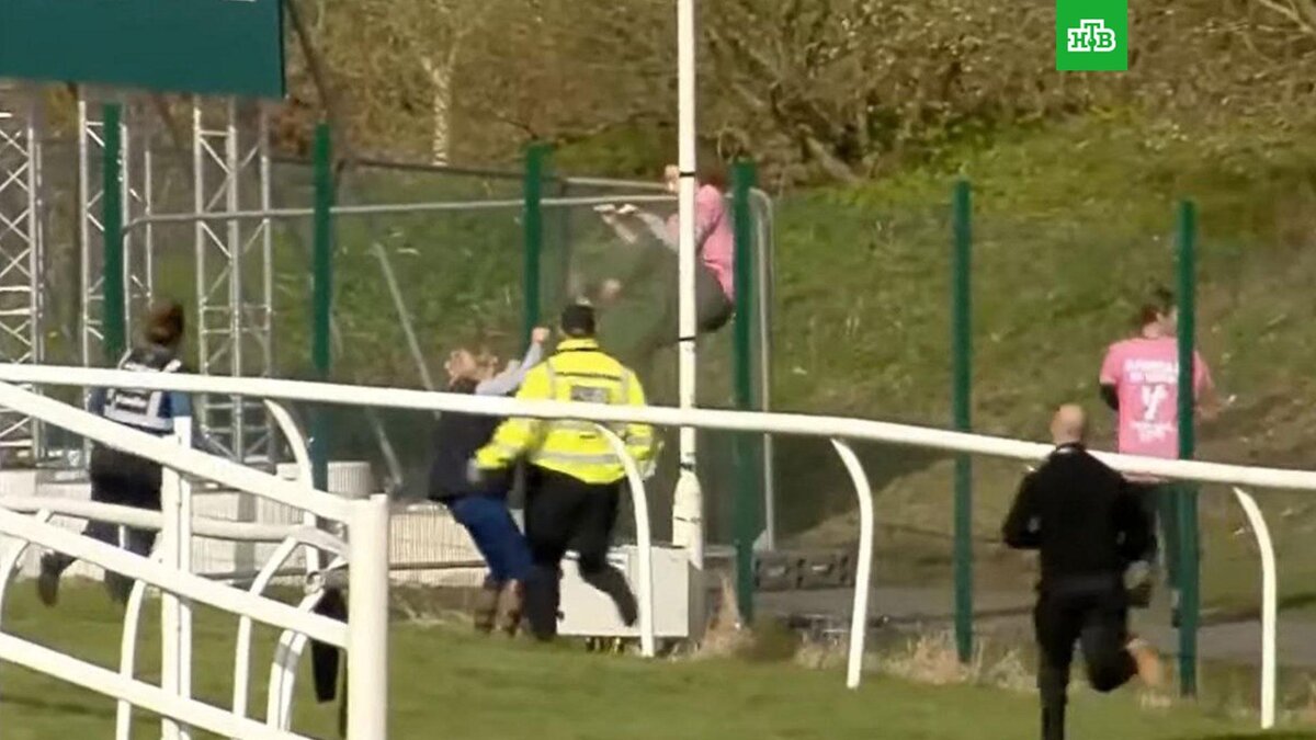    Фото: @AnimalRising / twitter.com