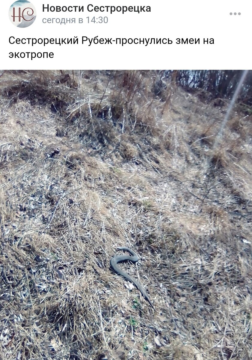 Скрин из группы ВК