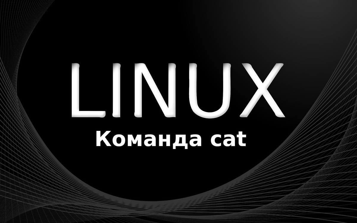 Команда touch linux. Little Company команда. Little команда. Команды для литал Компани. QVIEW.