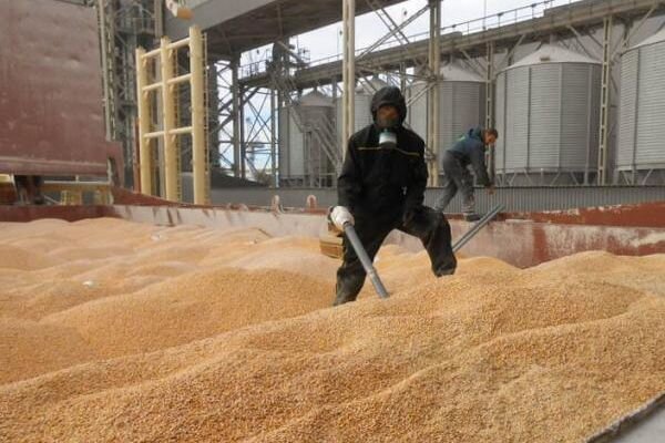  Зерновое лобби не прокатывает больше.  фото: картинки  яндекса.