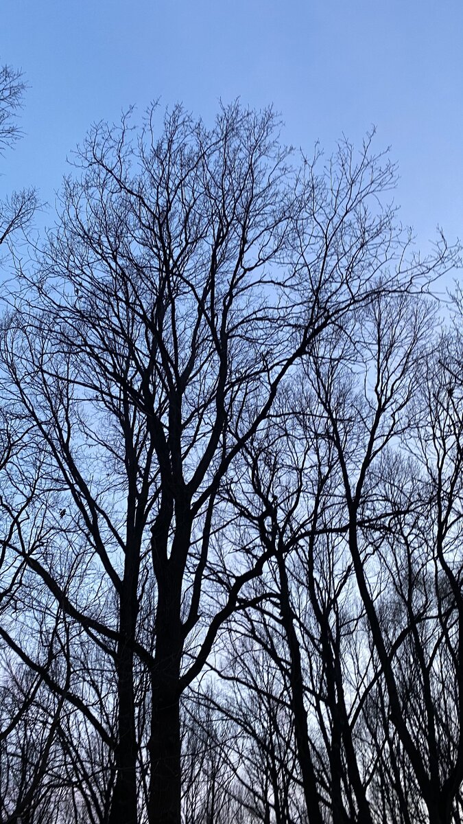 Фото из архива автора