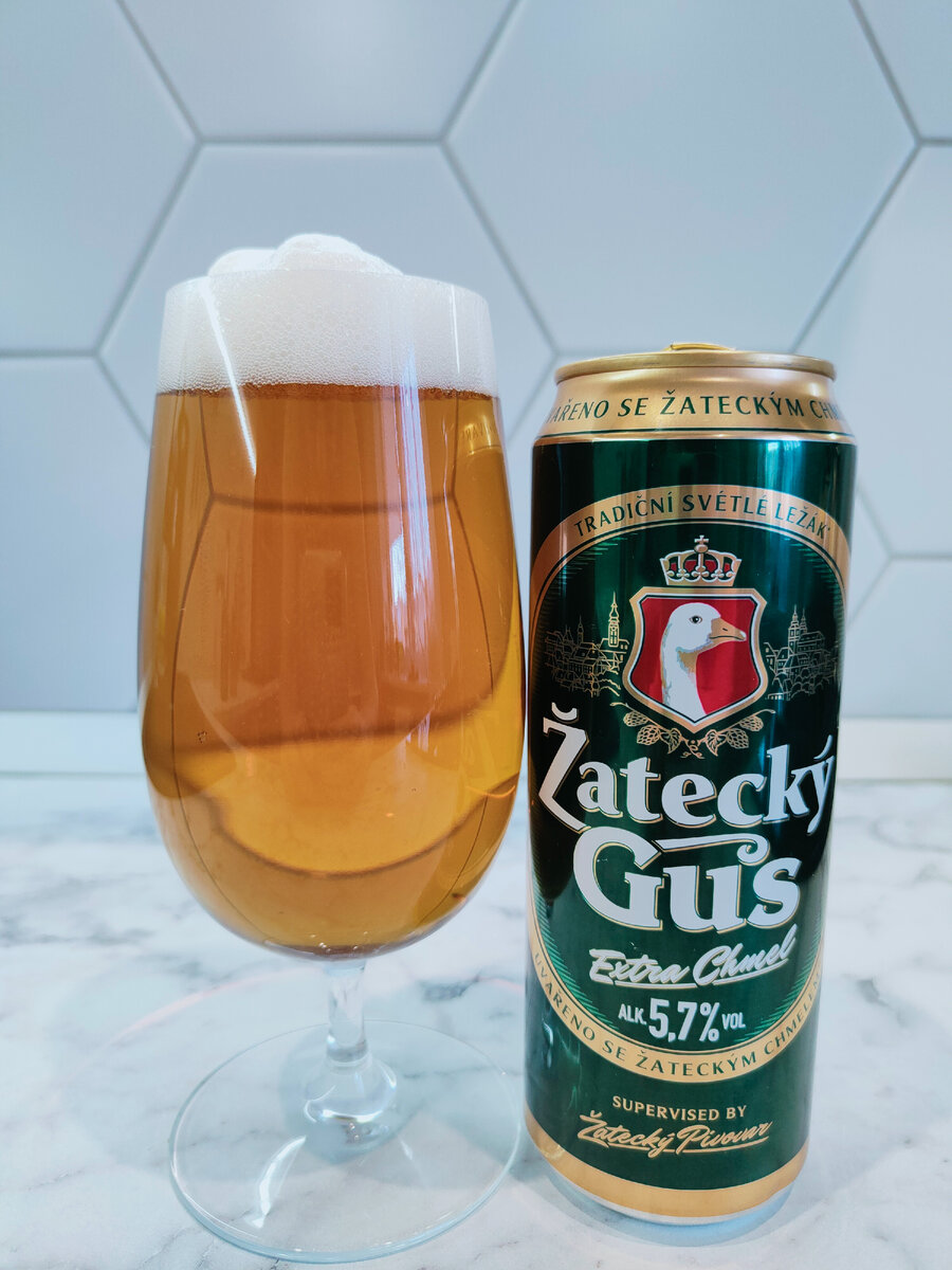 Пиво "Zatecky Gus Extra Chmel" (Жатецкий Гусь Экстра Хмель)
