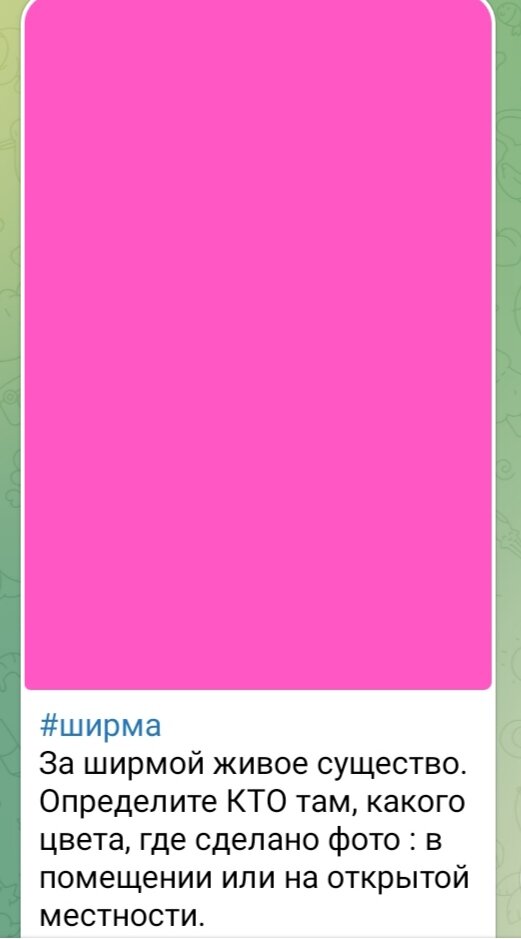 Фото из личного архива.. 