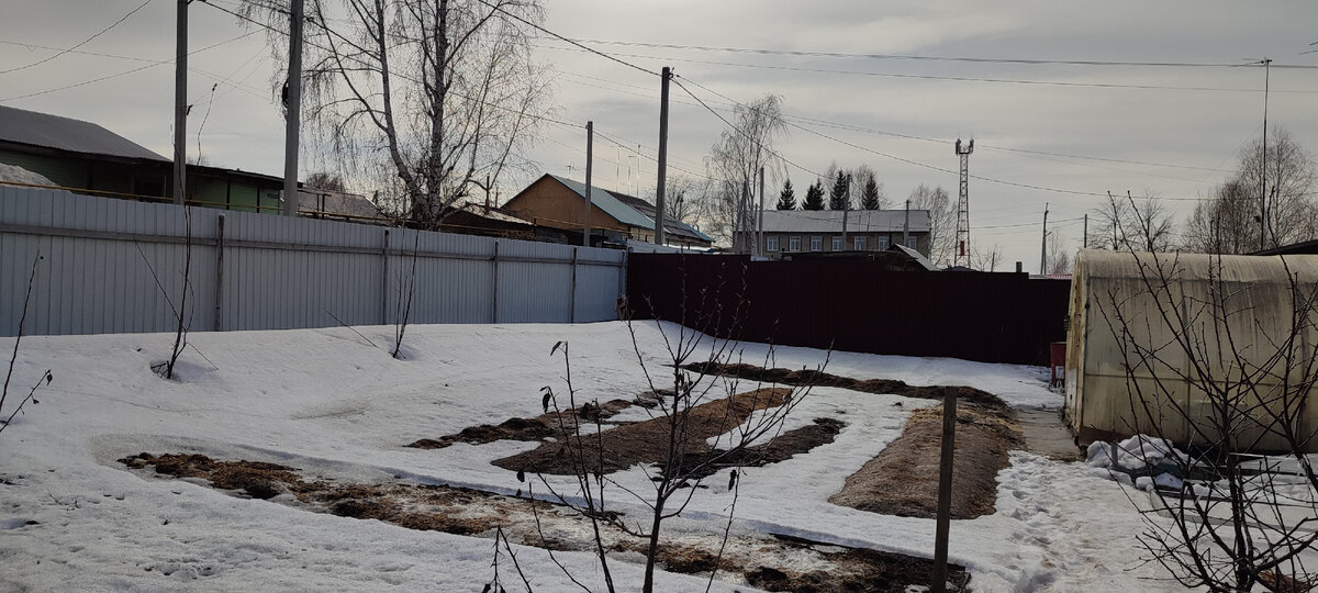 Ну и что, что снег кругом... Заядлым огородникам это не помеха😅
