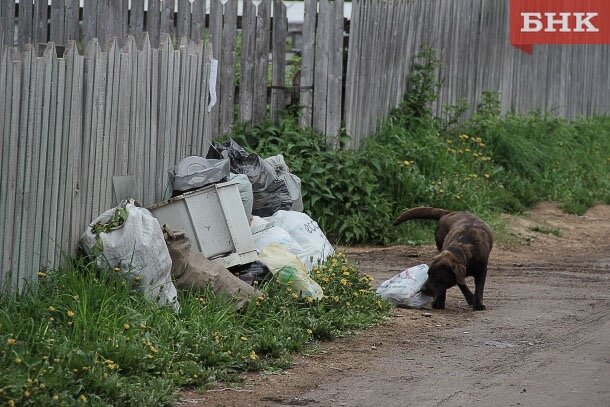 Фото из архива БНК