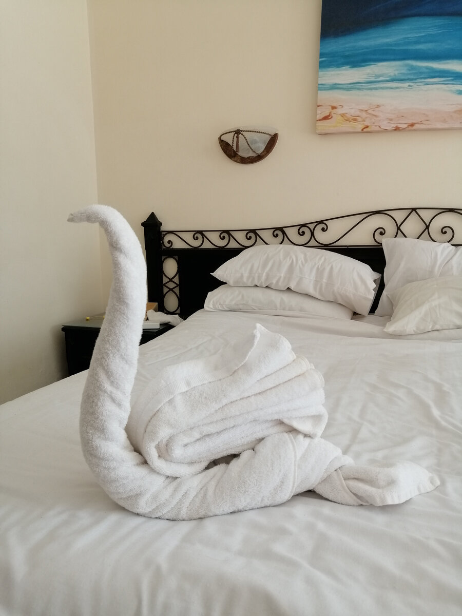 Скромный лебедь, но все равно, приятно! 