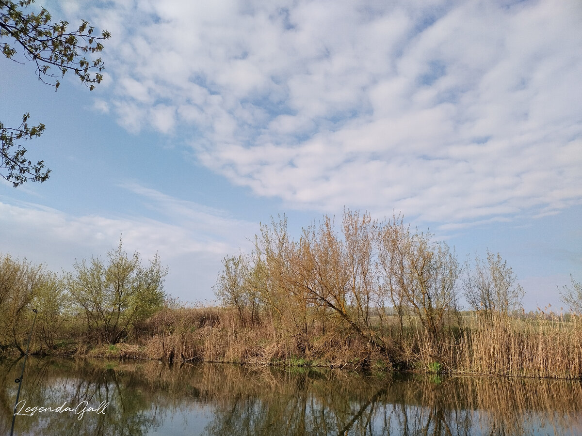 Красота и тишина на воде