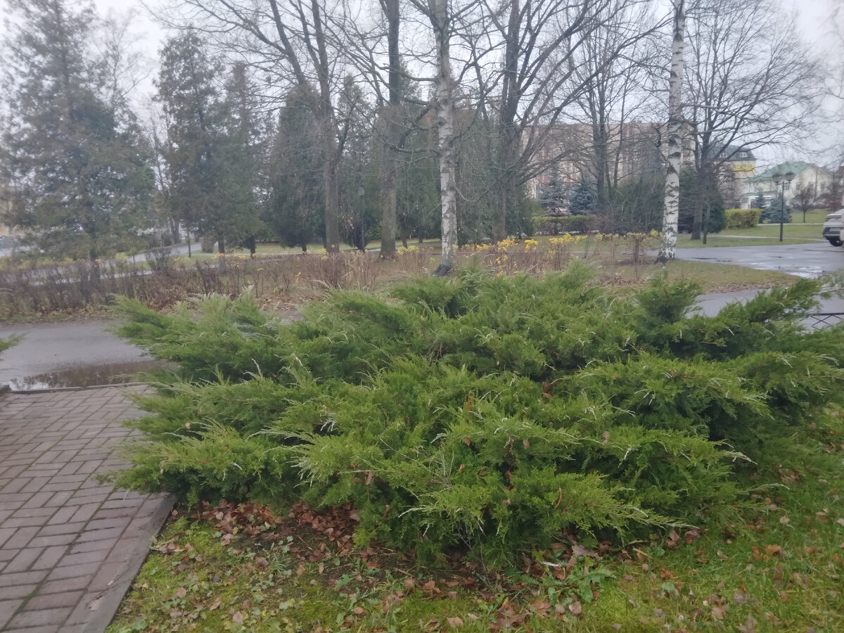 Фото автора Ирины Одарчук Паули