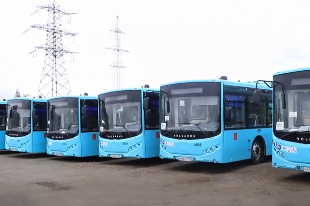    Льготникам Петербурга разрешили бесплатно ездить на пригородных автобусах