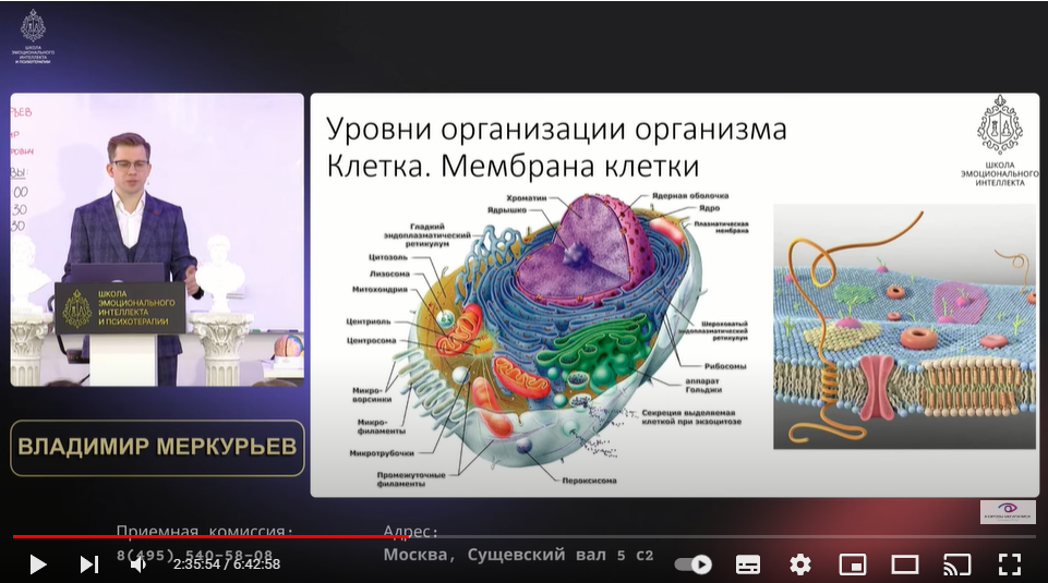 Скриншот из видео в открытом доступе, ссылка выше.