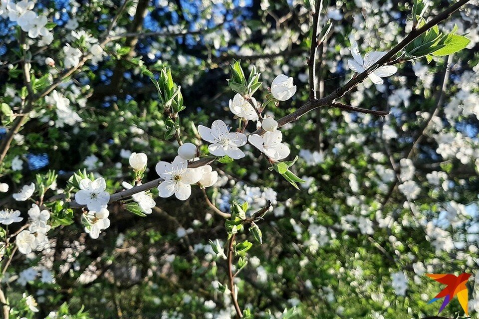   Когда выходные в мае 2023, переносы и рабочие дни. Фото: архив «КП»