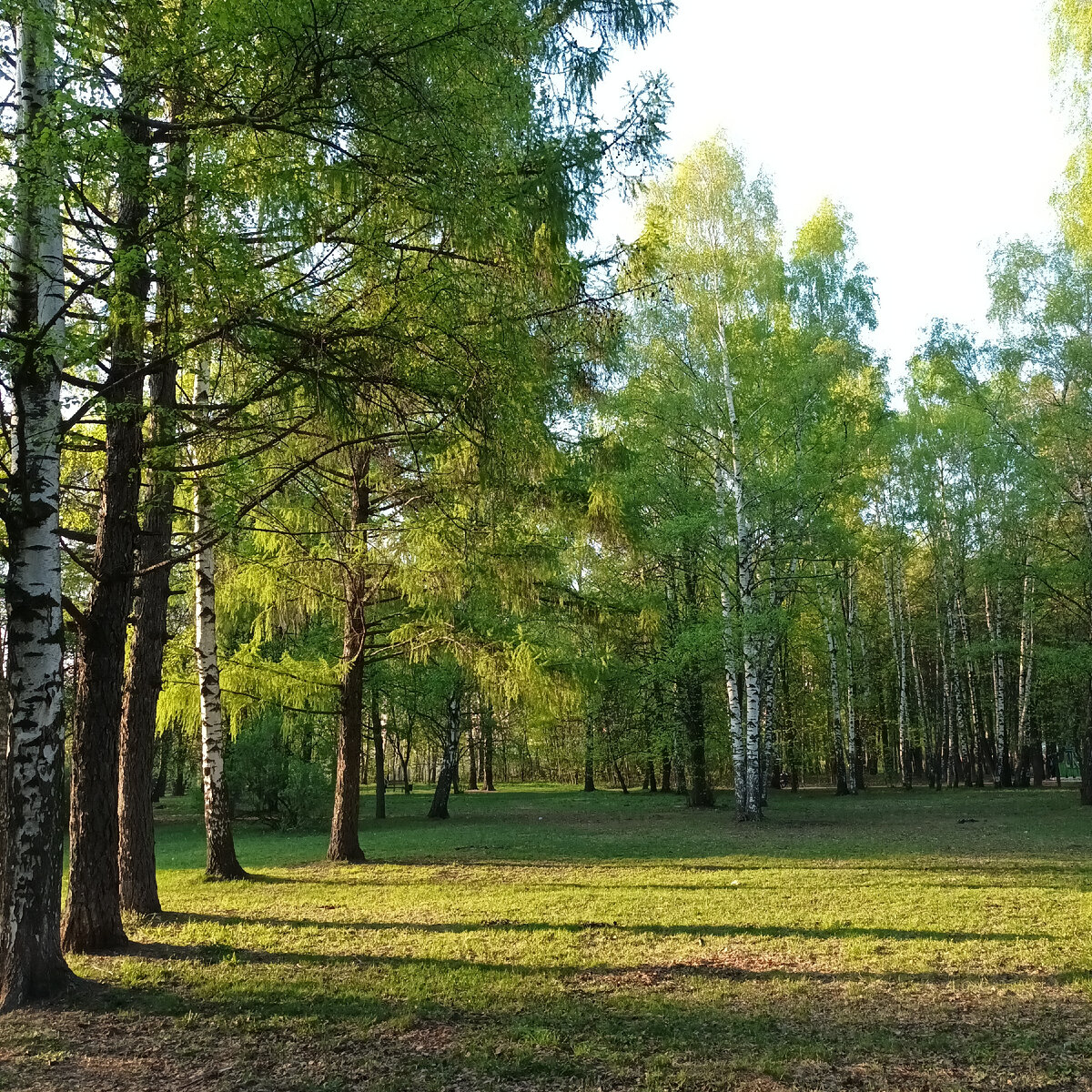 Мой любимый парк.