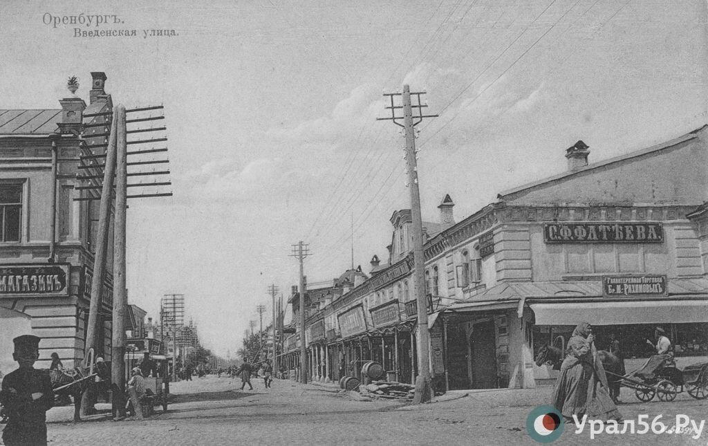    До 4500 собак в год: Как более века назад в Оренбурге обстояла ситуация с отловом и уничтожением бродячих собак