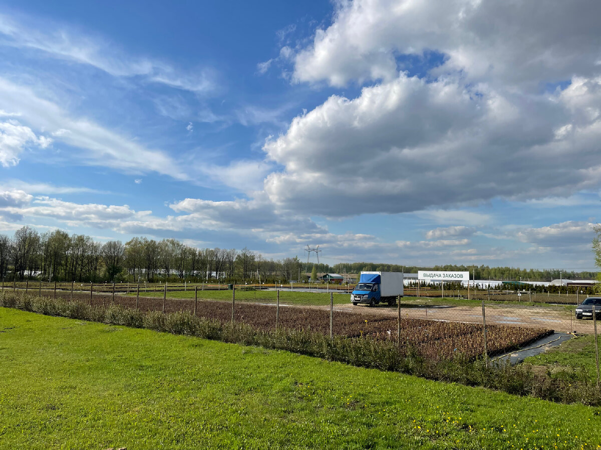 Зона выдачи оптовых заказов.