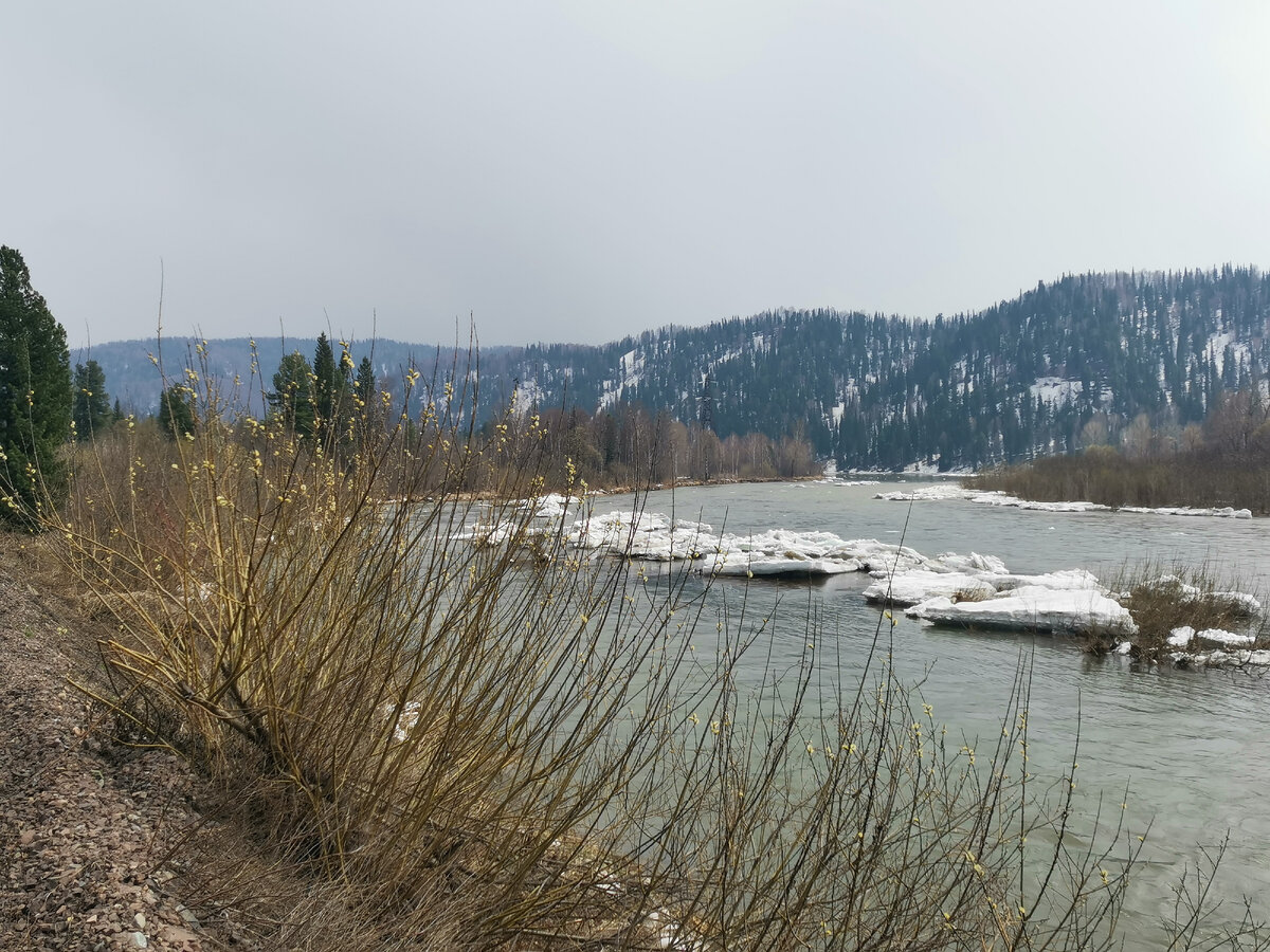 Фото автора канала