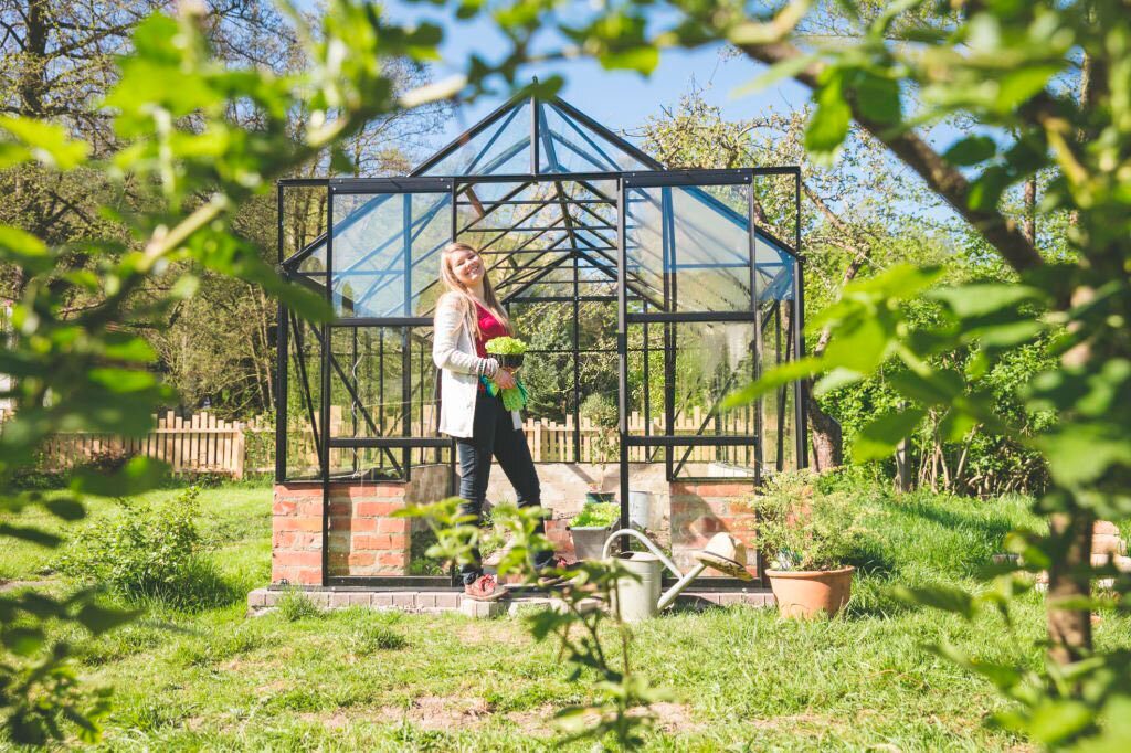 Стеклянная теплица с дверью купе