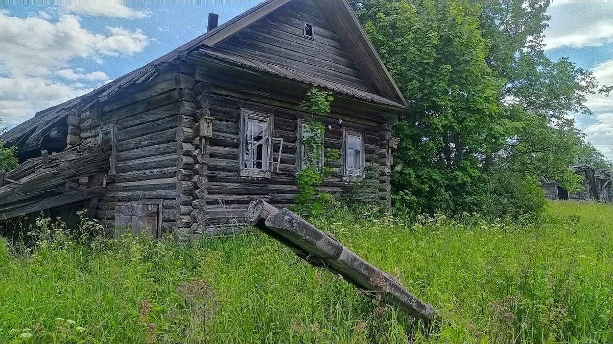 Большой поход – заброшенные деревни Гарино, Казанер, Гражданский,  Преображенское, Новоуспенье, Высокая Рамень в Нижегородской области Тоншае  | Уйду в лес | Дзен