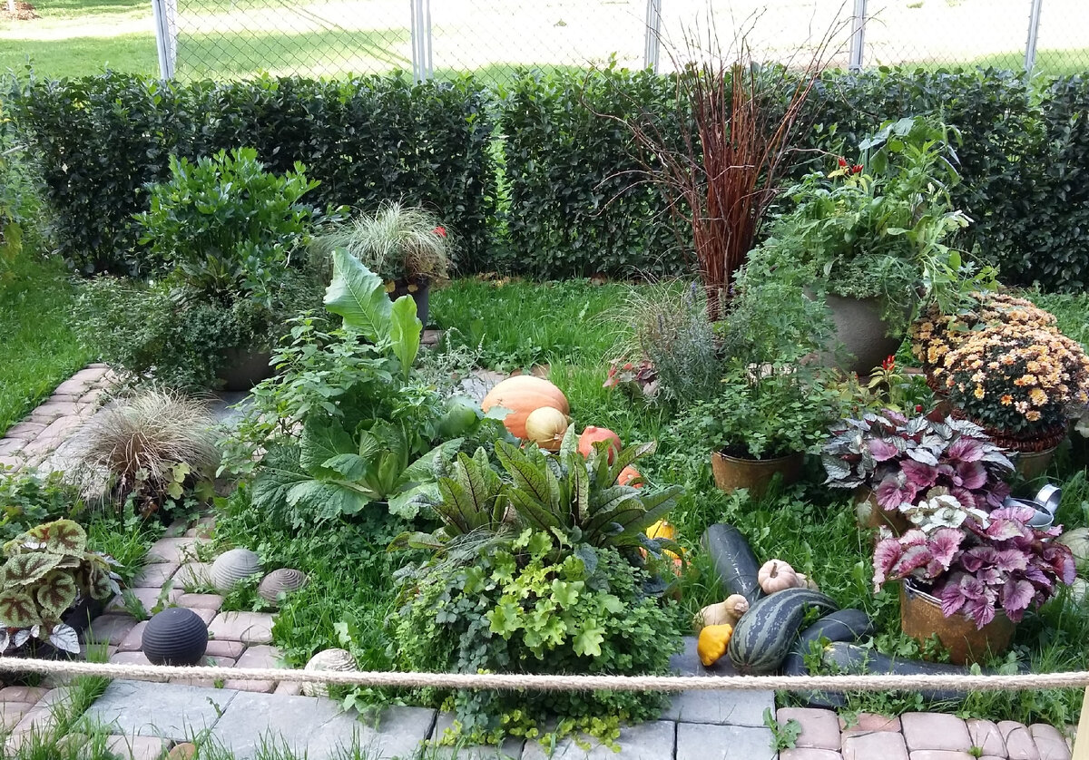 Фото с выставки. 